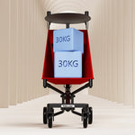 Charger l'image dans la galerie, Poussette Canne de Paysage